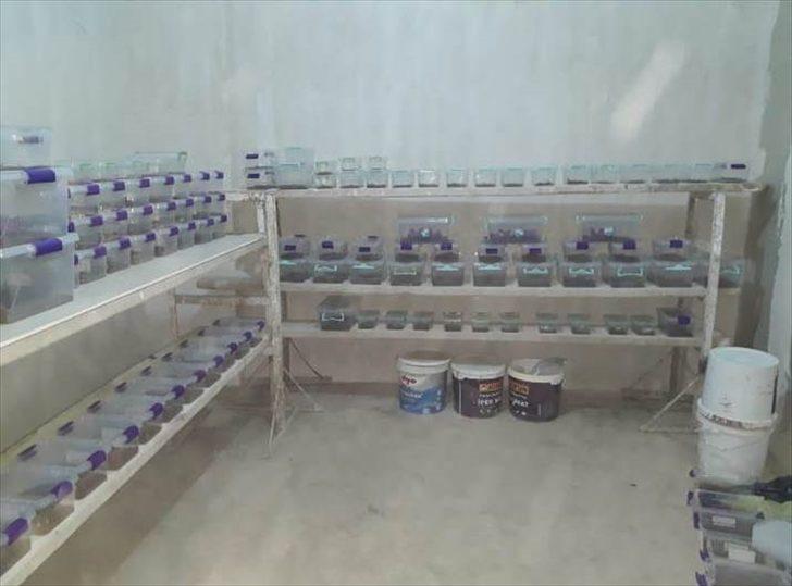 Evde 217 akrep ele geçirildi! 60 bin lira para cezası uygulandı G3