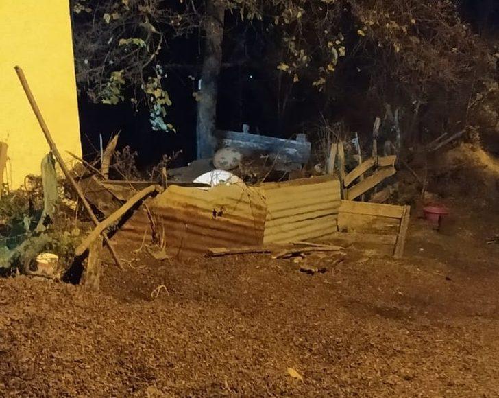 Şizofreni hastası kadın kocasını öldürdü G1