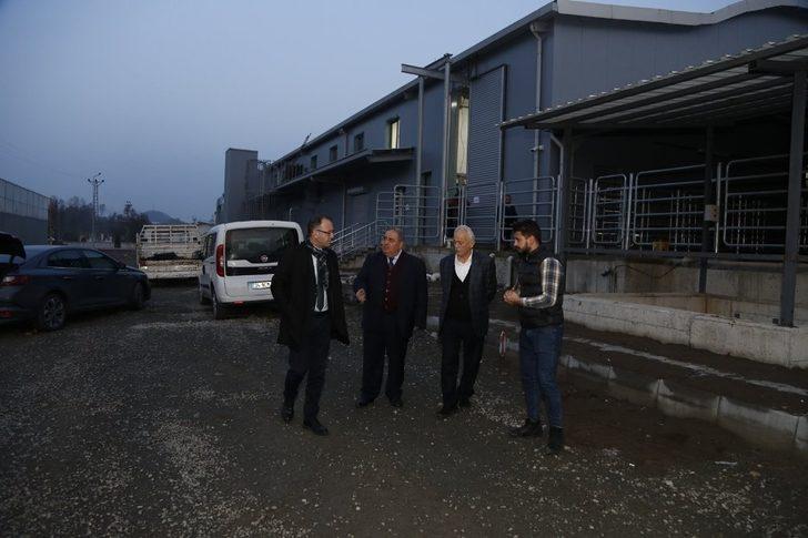 Fatsa Mezbaha ve Hayvan Pazarında sona gelindi G3