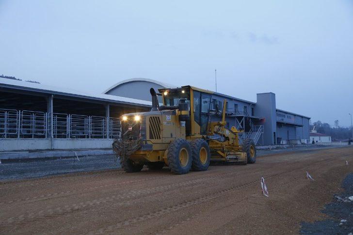 Fatsa Mezbaha ve Hayvan Pazarında sona gelindi G4