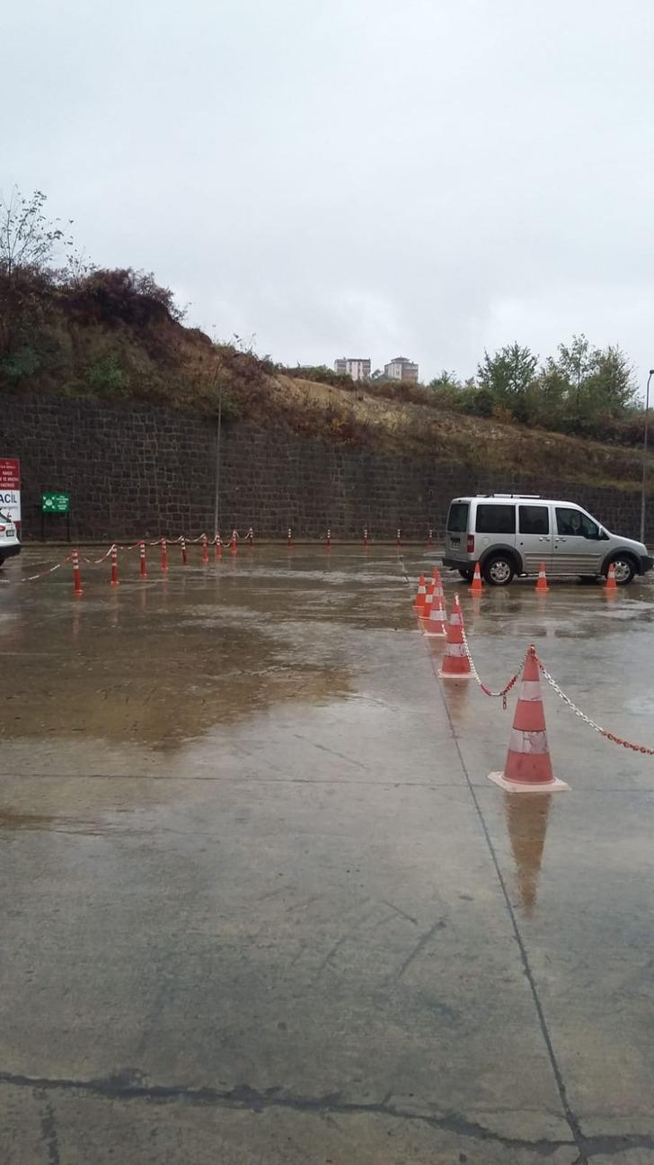 Acil servis bahçesinde panik; duvardan düşen domuz öldü G1