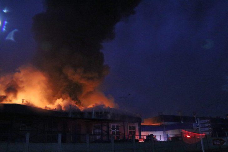 GÜNCELLEME 2 - Düzce'de fabrikada çıkan yangın kontrol altına alındı G3