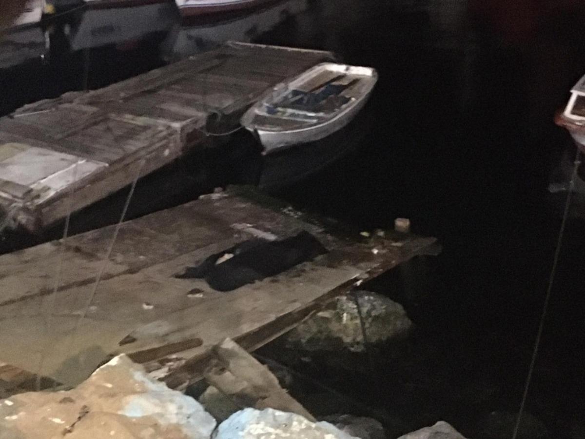 Pendik'te &ccedil;ok acı olay! 80 yaşındaki yaşlı adamın denizden cesedi &ccedil;ıktı!