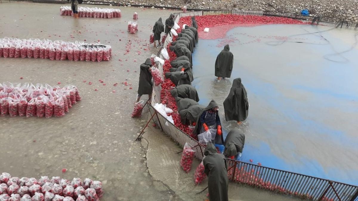 Kadınların soğuk suda ekmek m&uuml;cadelesi