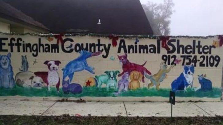 Terk edilmiş halde bulundu! Boynundan çıkan not ise gözyaşlarına boğdu G2