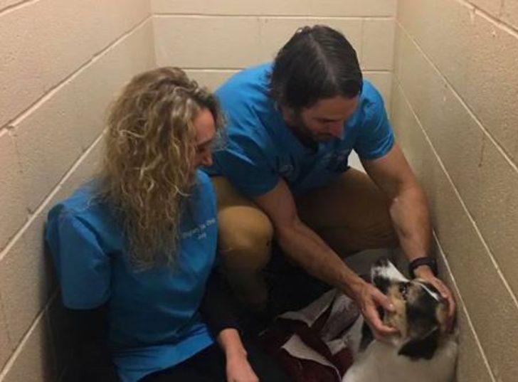 Terk edilmiş halde bulundu! Boynundan çıkan not ise gözyaşlarına boğdu G4