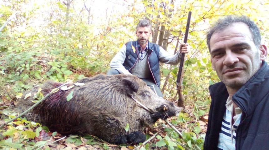 Avcılar 316 kiloluk yaban domuzu vurdular