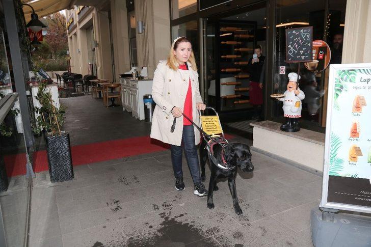 Çankaya’dan rehber köpek farkındalığına destek G2