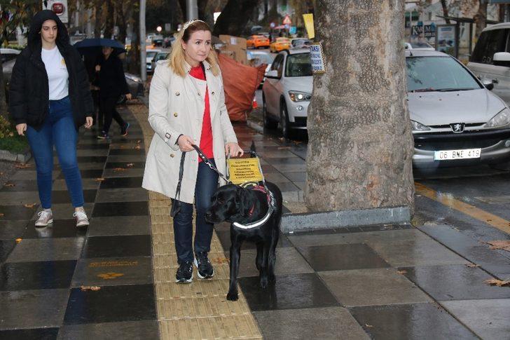 Çankaya’dan rehber köpek farkındalığına destek G3
