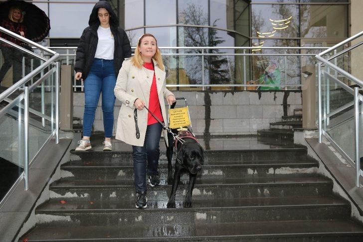 Çankaya’dan rehber köpek farkındalığına destek G4