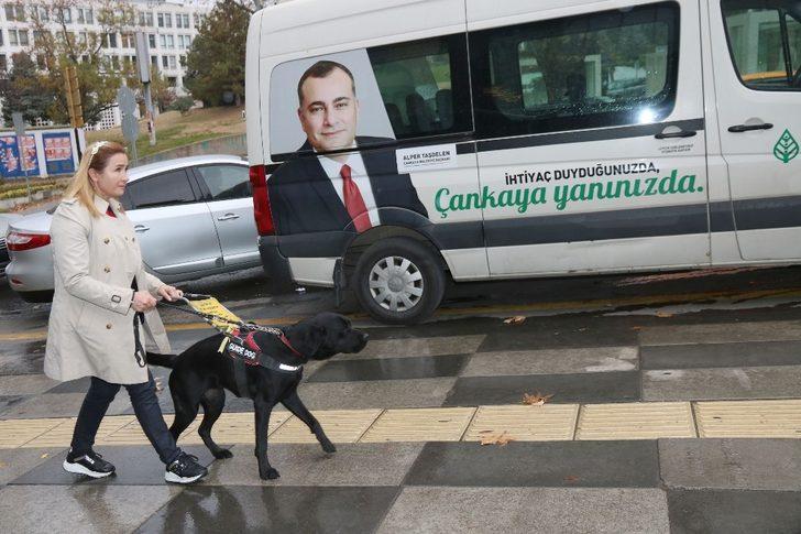 Çankaya’dan rehber köpek farkındalığına destek G5