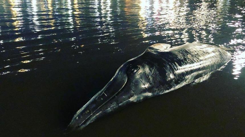 Son iki ayda üç kez yaşandı!