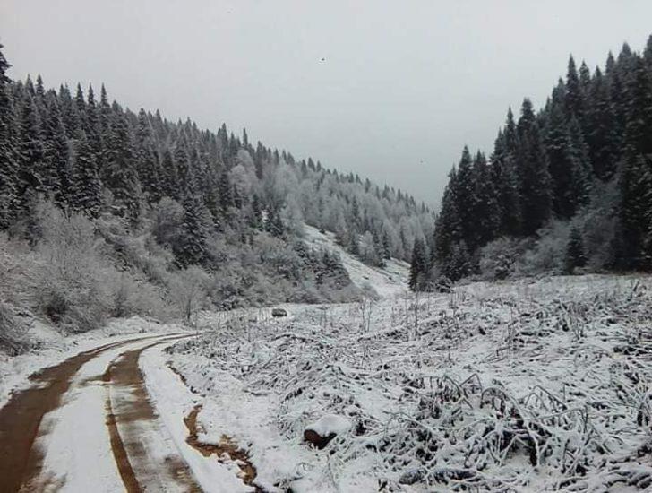  Küre Dağları Milli Parkı beyaz örtüyle kaplandı G1