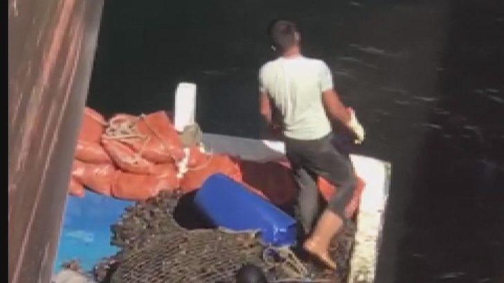 İstanbul'da zehirli midye tehlikesi G1