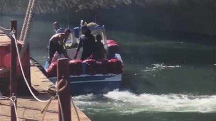 İstanbul'da zehirli midye tehlikesi G3