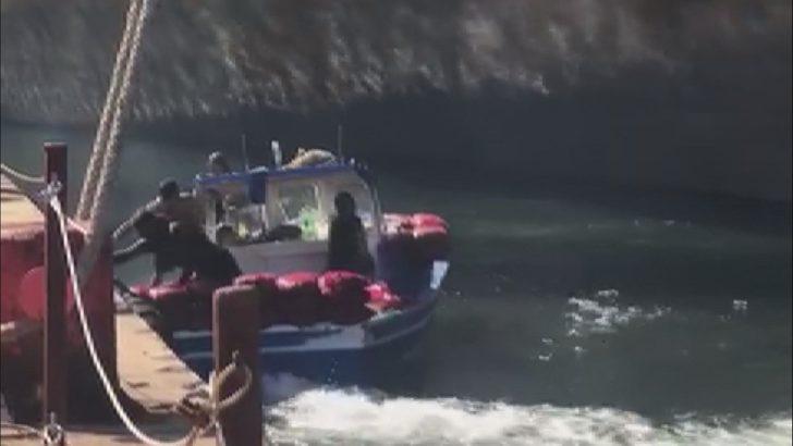 İstanbul'da zehirli midye tehlikesi G4