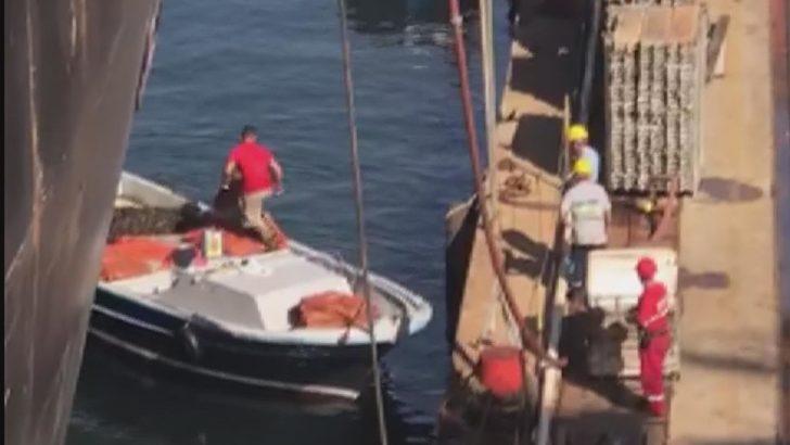 İstanbul'da zehirli midye tehlikesi G5