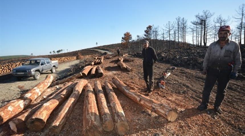 K&uuml;tahya&rsquo;da yanan ormanlık alanlar tekrar yeşerecek