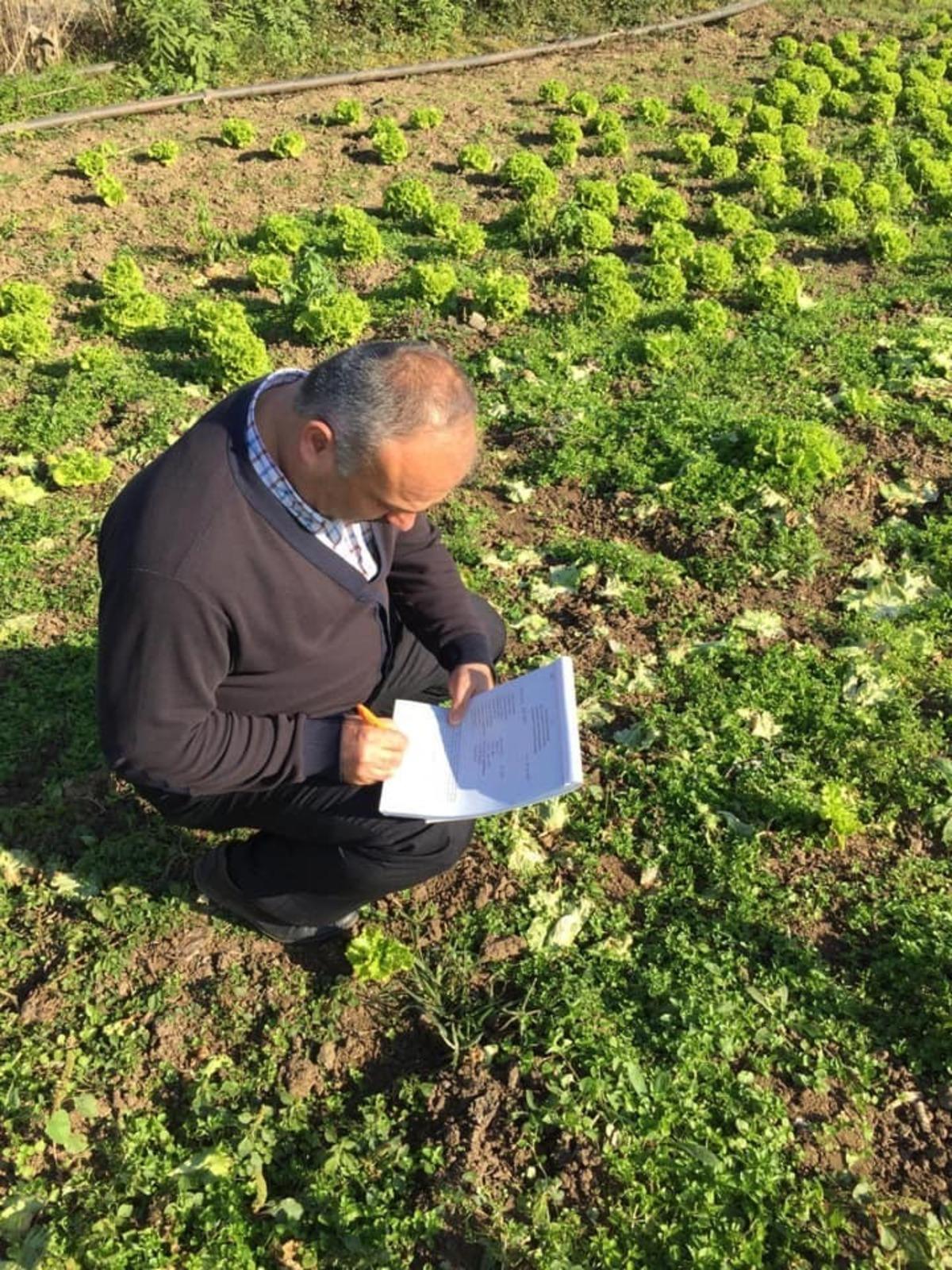 Kışlık &uuml;r&uuml;nlerde &lsquo;pestisit&rsquo; denetimi