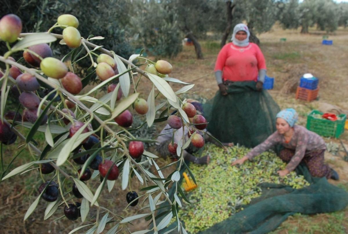 İla&ccedil;lama yok, kalite var