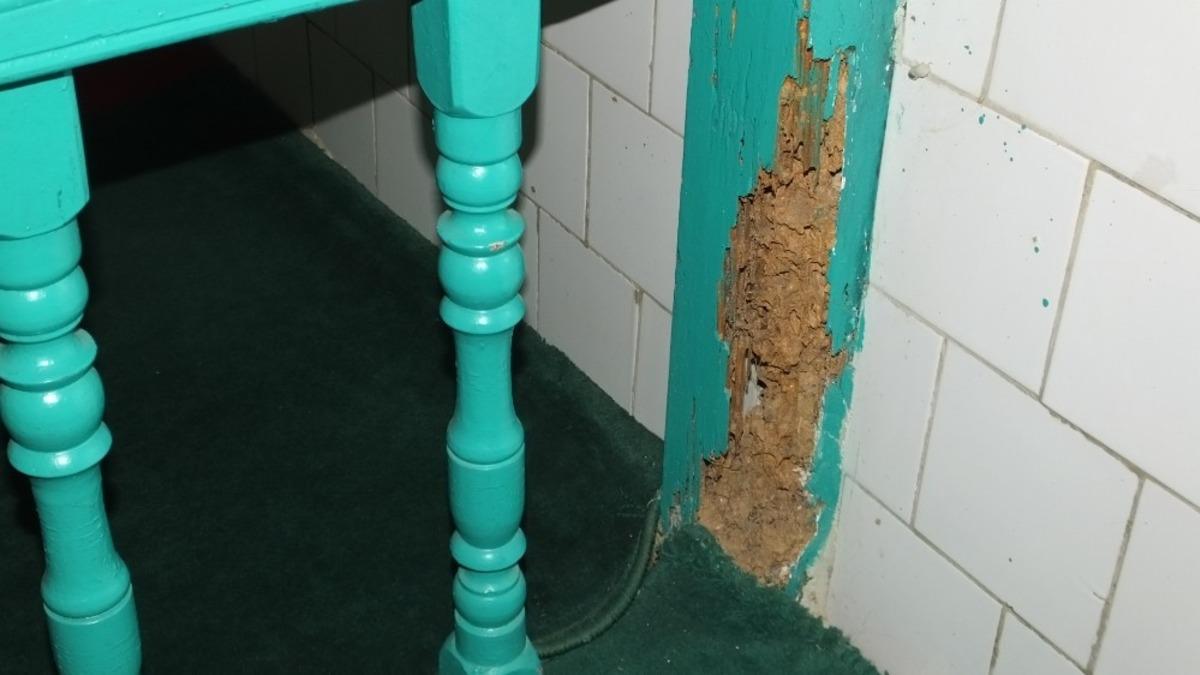 Burhaniye&rsquo;de Ağacık Camii ilgi bekliyor