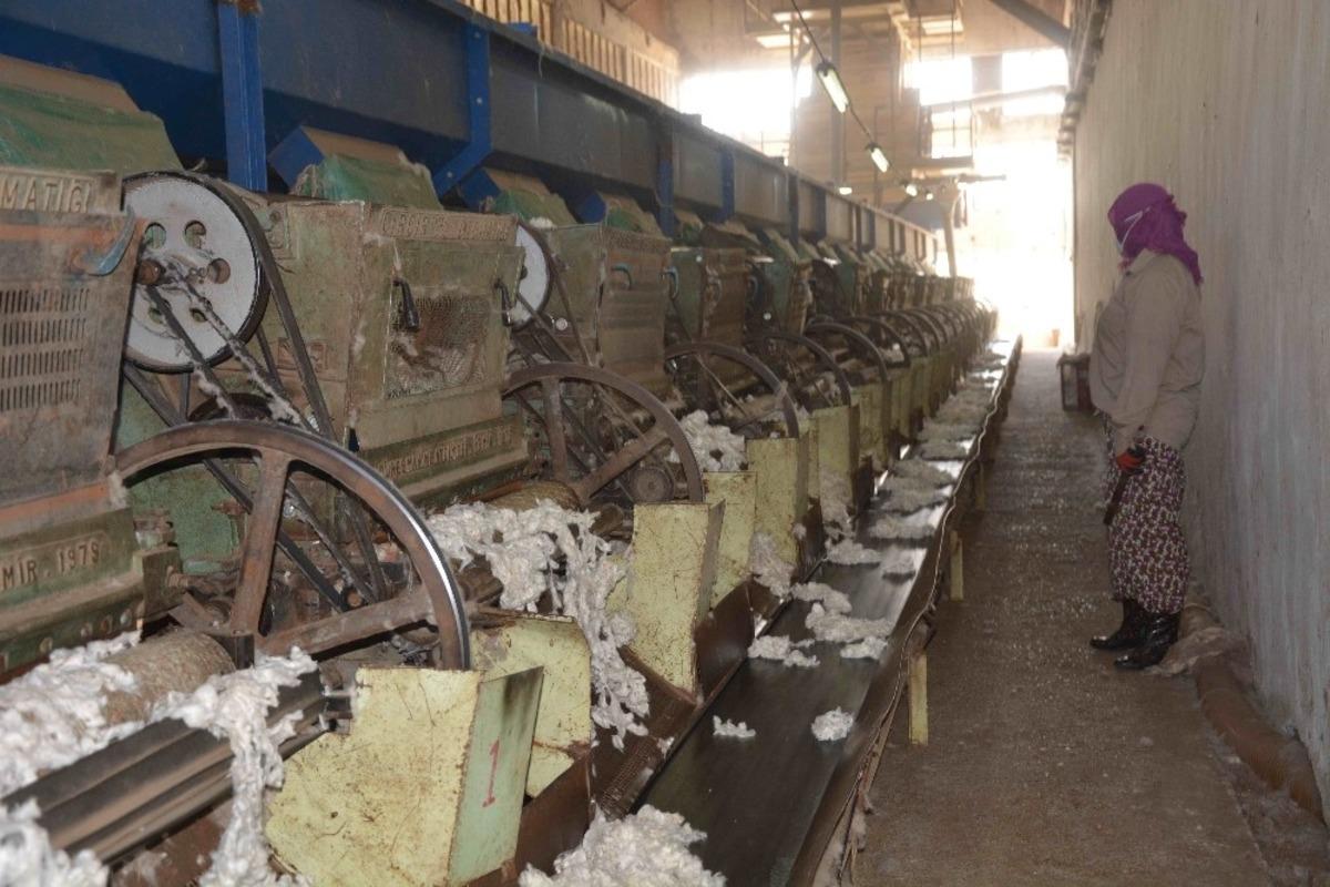 &Ccedil;ır&ccedil;ır fabrikasında &rsquo;beyaz altın&rsquo; mesaisi