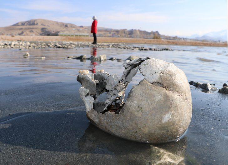 Van Gölü çekilince kemik ve kafatasları ortaya çıktı G1