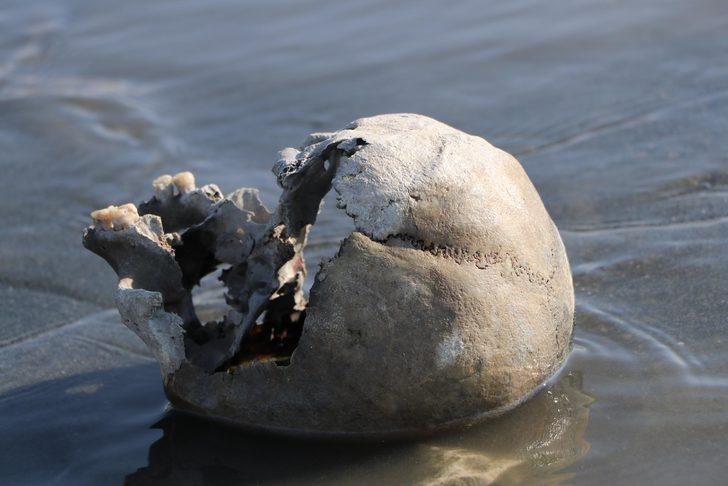 Van Gölü çekilince kemik ve kafatasları ortaya çıktı G3