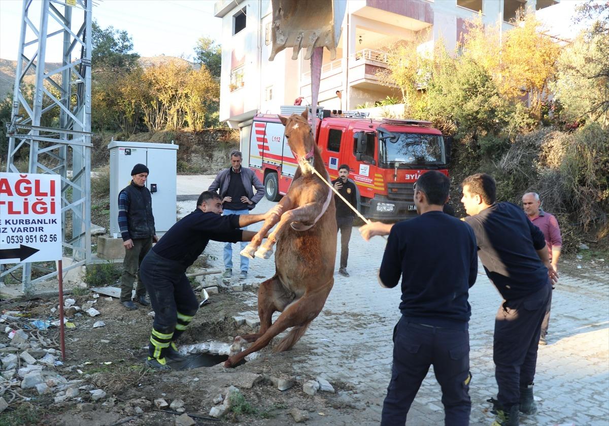 Su kanalına d&uuml;şen at kurtarıldı