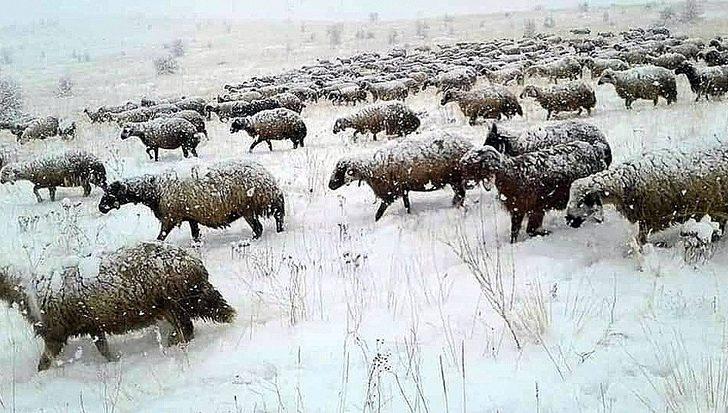 Erzincan’da karın ardından kartpostallık görüntüler oluştu G2