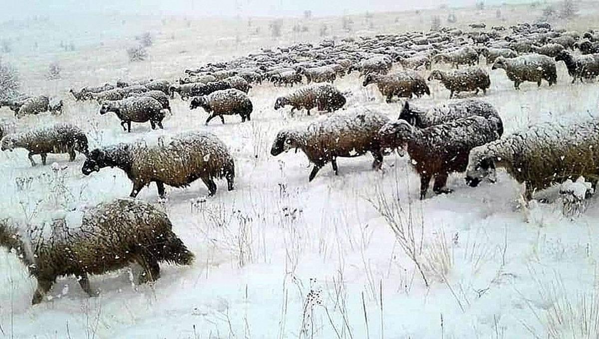 Erzincan&rsquo;da karın ardından kartpostallık g&ouml;r&uuml;nt&uuml;ler oluştu