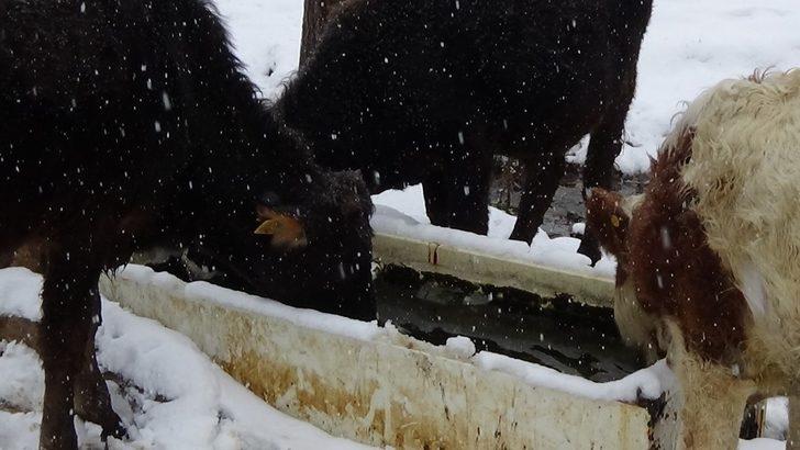 Köylerde kış çilesi başladı G3