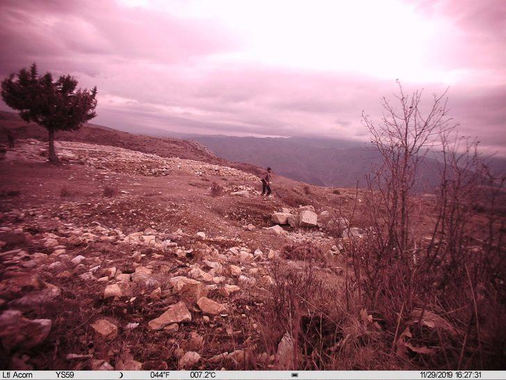 Amasya'da define ararken fotokapana takıldılar G1