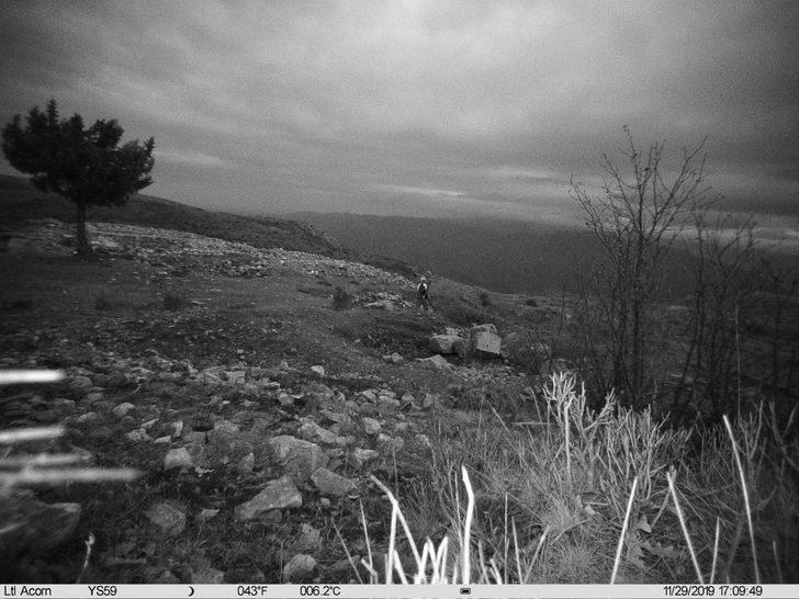 Amasya'da define ararken fotokapana takıldılar G3