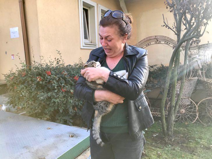 Lüks sitedeki kedi ölümleri hayvanseverleri ayağa kaldırdı G1