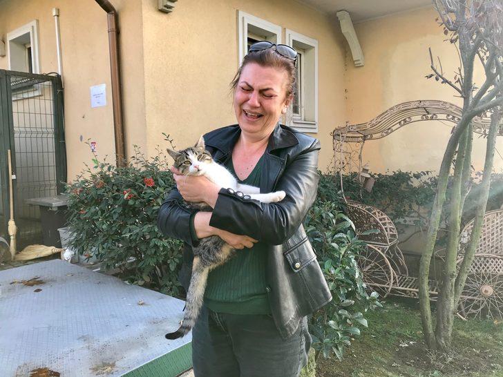 Lüks sitedeki kedi ölümleri hayvanseverleri ayağa kaldırdı G2