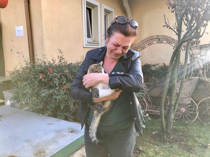 Lüks sitedeki kedi ölümleri hayvanseverleri ayağa kaldırdı G3