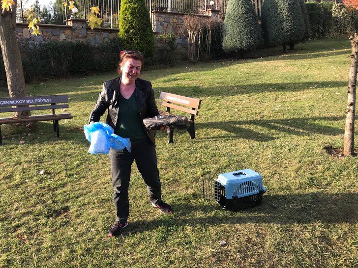 Lüks sitedeki kedi ölümleri hayvanseverleri ayağa kaldırdı G4