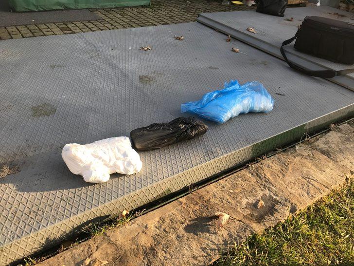 Lüks sitedeki kedi ölümleri hayvanseverleri ayağa kaldırdı G5