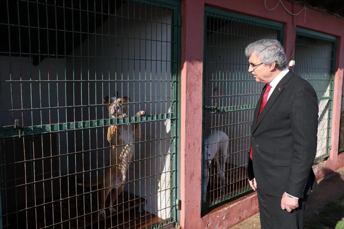 Başkan Y&uuml;ce: &ldquo;Ge&ccedil;ici Hayvan Bakımevinin kapasitesi artacak&rdquo;