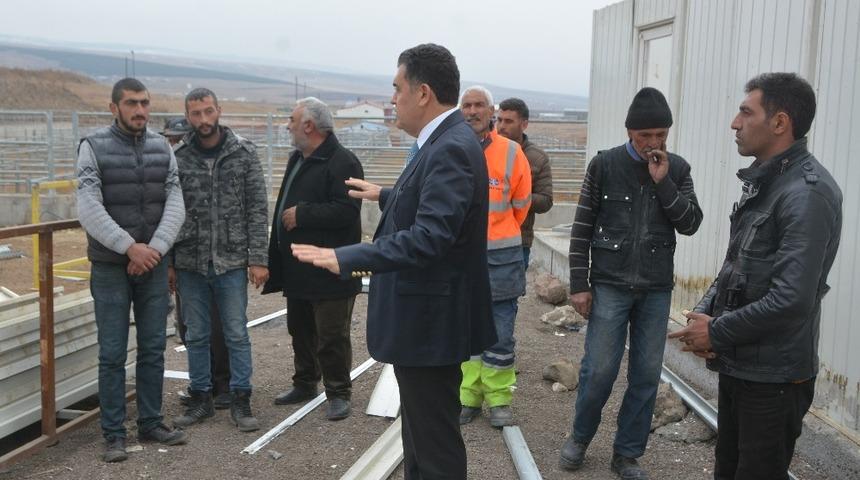 Başkan Demir,  hayvan pazarında devam eden &ccedil;alışmaları inceledi