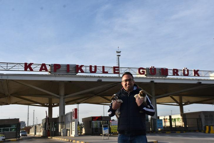 Kapıkule'de 14 yavru köpek ele geçirildi G3