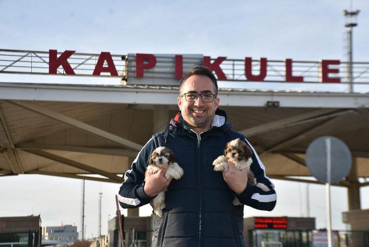 Kapıkule'de 14 yavru köpek ele geçirildi G4