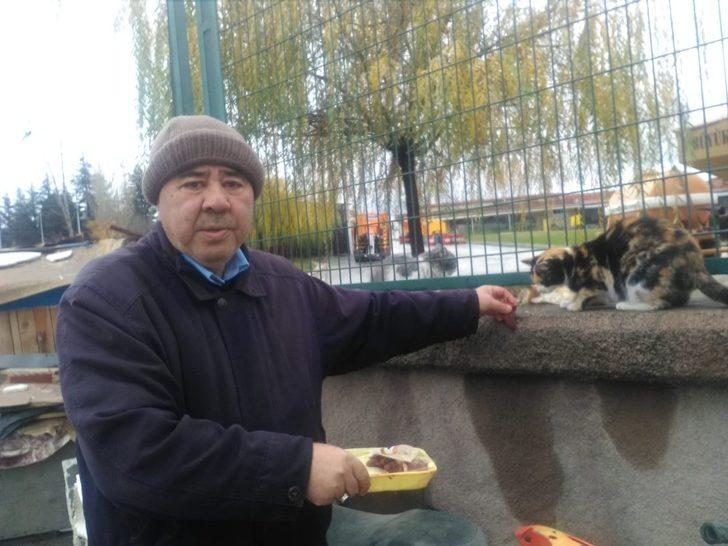 Tombik’in keyfi yerinde G1