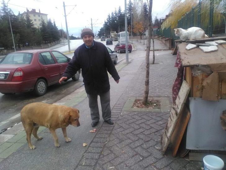 Tombik’in keyfi yerinde G2