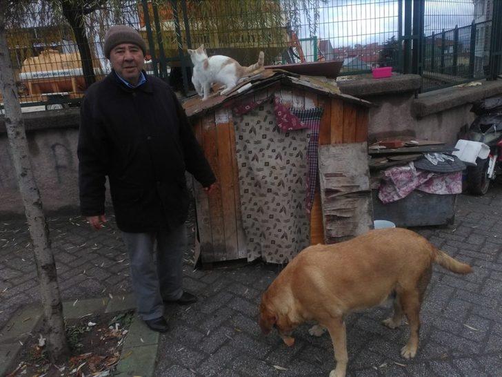 Tombik’in keyfi yerinde G3