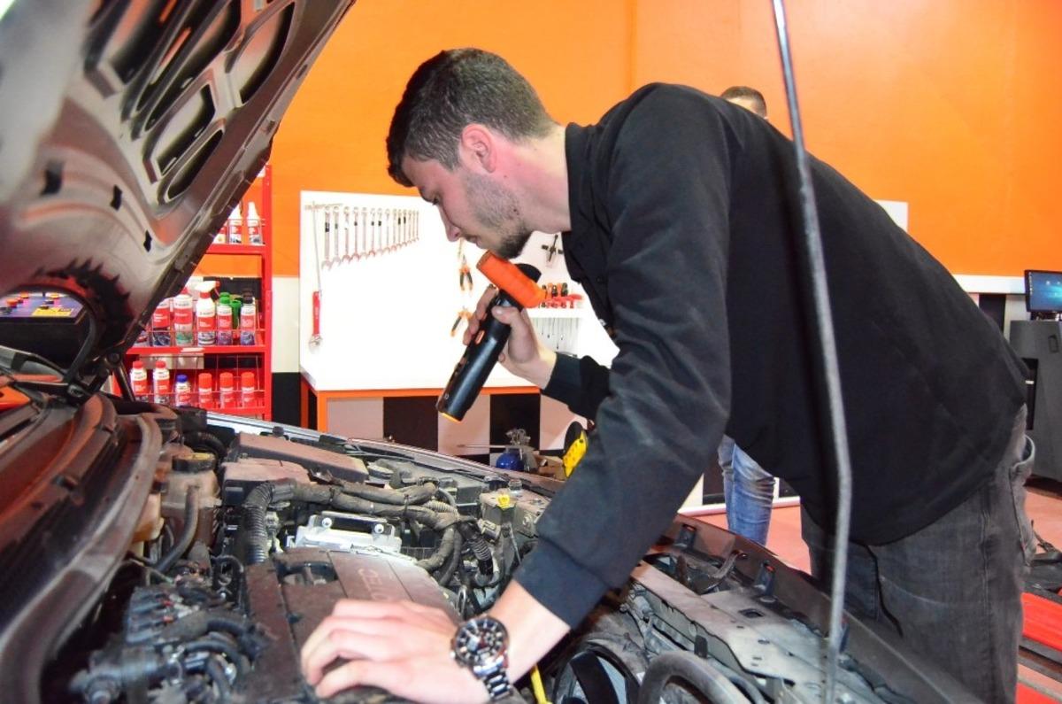 &Uuml;niversiteli eksper