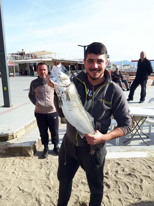 Garsonun oltasına 5 kiloluk levrek takıldı