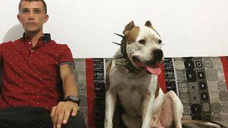 Denizli'de cesedi gömerken yakalanan acil tıp teknisyeniyle ilgili yeni gelişme! 2 pitbull köpeğe el koyuldu