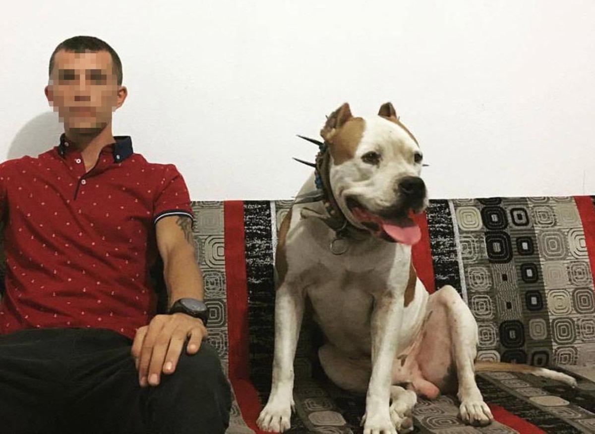 Denizli'de cesedi g&ouml;merken yakalanan acil tıp teknisyeniyle ilgili yeni gelişme! 2 pitbull k&ouml;peğe el koyuldu